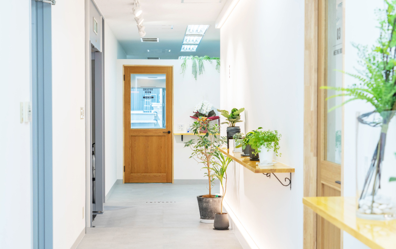 企業の内装の写真